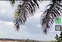 Sekitar 400 Unit Aktivitas PETI di Wilayah sektor Polsek Cirenti Resort Polres Kuansing : Diduga Untuk ATM Oknum APH