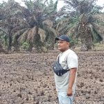 Karhutla di Desa Sei Sentang, Dua Titik Lahan Gambut Terpantau dari Aplikasi Hotspot