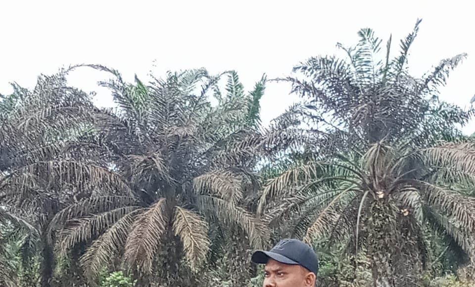 Karhutla di Desa Sei Sentang, Dua Titik Lahan Gambut Terpantau dari Aplikasi Hotspot