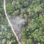 Karhutla di Perkebunan PT SRL, Babinsa Koramil 0212-09/Sosa Bersama Masyarakat Bergerak Padamkan Api