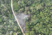 Karhutla di Perkebunan PT SRL, Babinsa Koramil 0212-09/Sosa Bersama Masyarakat Bergerak Padamkan Api