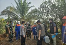 Pangdam XIX/TT dan Kapolda Riau Turun ke Lokasi Karhutla, Pencegahan Titik Api Diperkuat