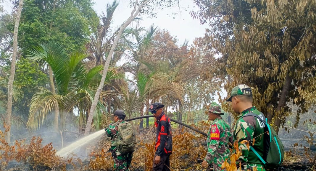 Kodam XIX/Tuanku Tambusai Percepat penanganan Karhutla di Dua Wilayah, Pendinginan Terus Dilakukan