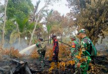 Kodam XIX/Tuanku Tambusai Percepat penanganan Karhutla di Dua Wilayah, Pendinginan Terus Dilakukan