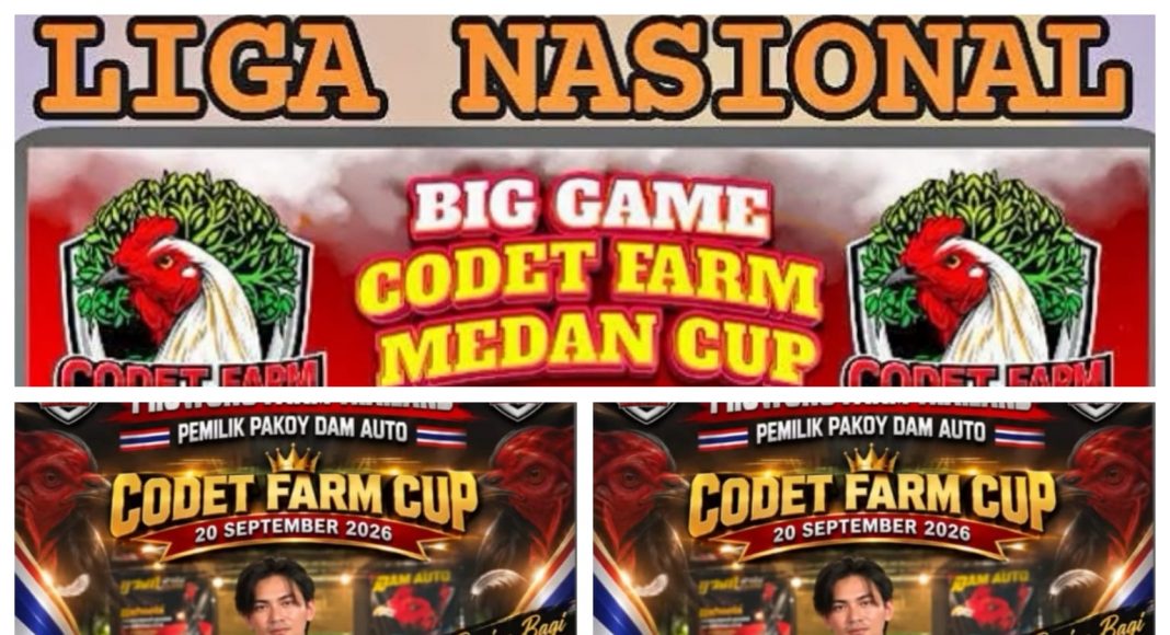 Codet dan Aan Gelar Perjudian Laga Ayam di Kota Binjai, Polisi Diduga Tutup Mata