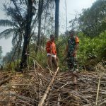 Karhutla di Simalungun dan Pematangsiantar Nihil, Patroli Terus Dilakukan